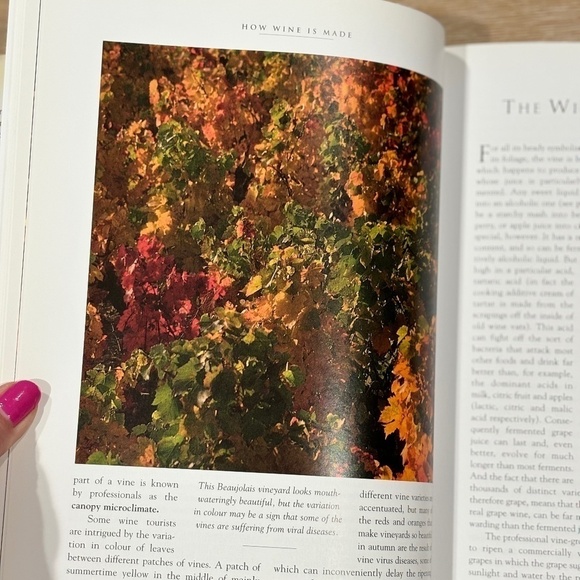 Wine Lover's Book Collection, Set of 4 Collector Edition Books - Picture 11 of 16